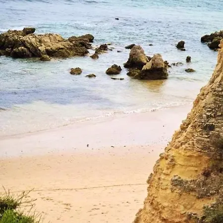 Appartement Cozy In 60 M² With Balcony Garden View