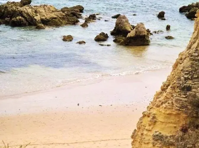 Apartment Beachside Terrace Apartment: View Retreat